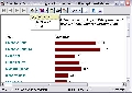 Reportizer 2.3