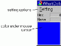 WhatColor 4.60e