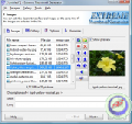 Extreme Thumbnail Generator 1.9.2.1