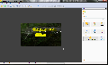 Picture Cutout Guide Lite 3.1.1