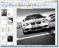 priPrinter Professional Edition 3.0.1.957 (x32/x64)