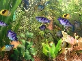 Aqua 3D Screensaver 1.51