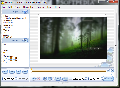 SolveigMM Video Splitter 2.0