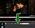 RipTiger Video Downloader