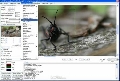 GdPicture Light Imaging Toolkit 4.5.0