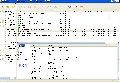 BitComet 1.0.3