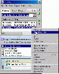FormZila for Windows IE