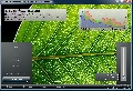 FastPictureViewer Pro 1.9.330