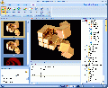 Flash Decompiler Trillix 3.1.0.570