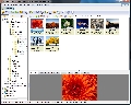 XnView Minimal 2.20