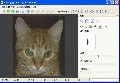 Pet Eye Fix Guide 2.1.6