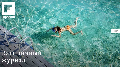 Flipboard (Windows 8.1) 8.1 2.0.6.0