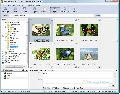 Arles Image Web Page Creator 7.4.3