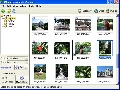 JAlbum 8.0.9