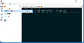 WinSSHTerm 2.31.0 / 2.24.0