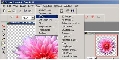 PictureMan Painter 2.0