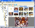 XNView Standart 2.05