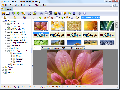 XNView Standart 2.05