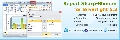 Report Sharp-Shooter for Silverlight