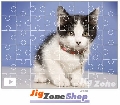 Puzzle Poetry