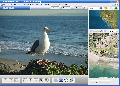 JetPhoto Studio 3.0