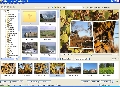 PicturesToExe 8.0.3