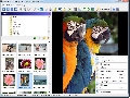 MegaView 9.0