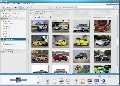 Picasa Photo Organizer 3.9.1 Build 135.80