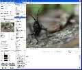GdPicture Light Imaging Toolkit 4.5.0