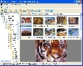 XnView Minimal 2.20