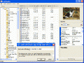 Exif Pilot 1.00