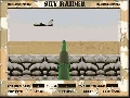 Sky Raider