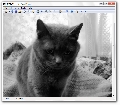 Futurix Imager 5.9 Beta 3
