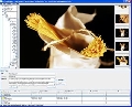ProStockMaster 1.2