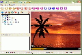 Flash Player XP 2.0
