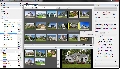 Daminion 0.9.9.731 Beta