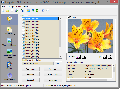 Easy Web Gallery Builder
