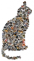 Shape Collage 2.5