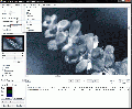 GdPicture Pro Imaging SDK 5.6.0