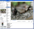 GdPicture Pro Imaging SDK 5.6.0
