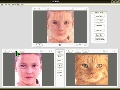 morph1.95