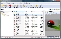 UltimateZip (Portable) 7.0.4.1