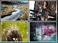 Cool Wallpapers Pack 2