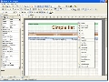 Stimulsoft Reports.Web with Source Code