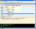 PE Explorer