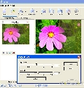 RiDoc 4.3.3.1